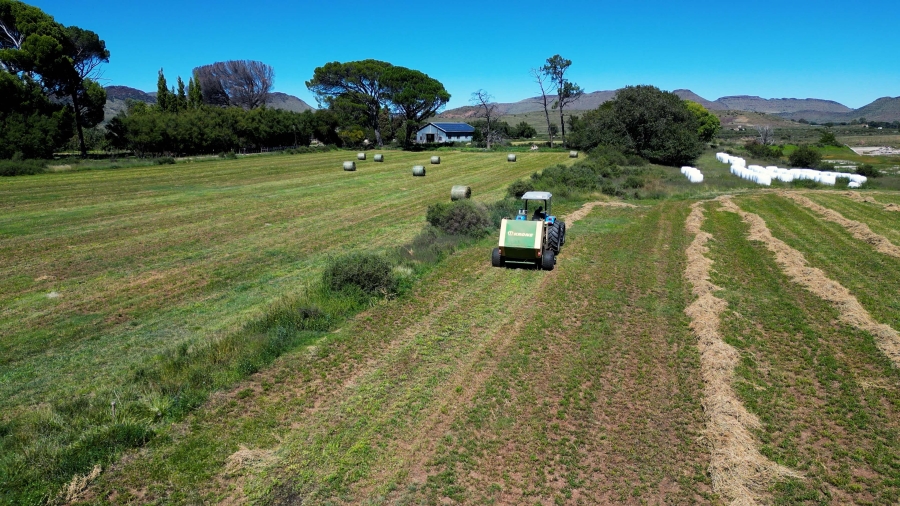 5 Bedroom Property for Sale in Steynsburg Rural Eastern Cape